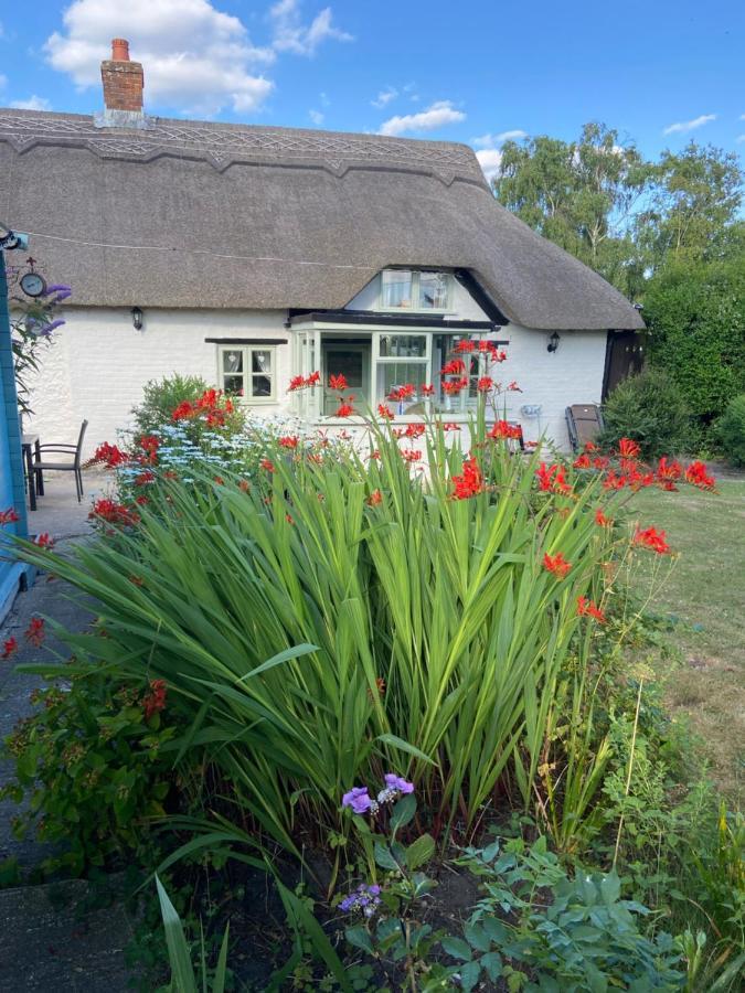 Thatch Cottage, East Boldre Nr Beaulieu And Lymington Brockenhurst Εξωτερικό φωτογραφία